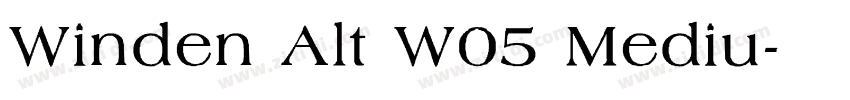 Winden Alt W05 Mediu字体转换